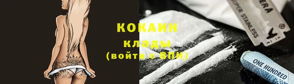 крисы Абаза