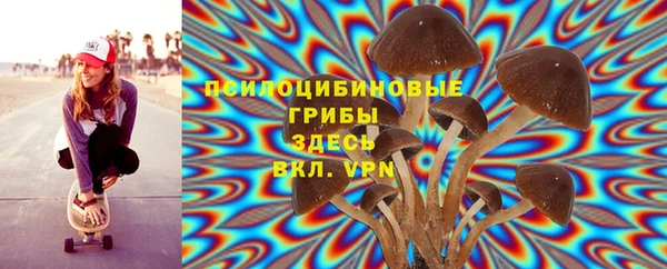 спайс Алексин