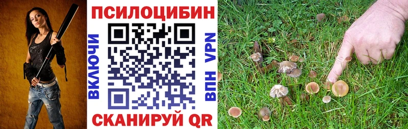 kraken вход площадка официальный сайт Псилоцибиновые грибы прущие грибы Ужур